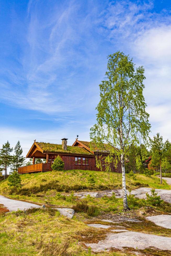 cabañas de madera noruega cabañas en la naturaleza paisaje nissedal noruega. foto