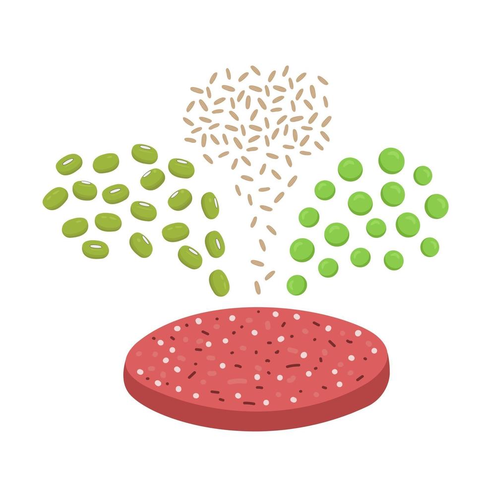 Ingredients of plant based meat. Mung beans, brown rice and pea pouring in meatless burger patty. Organic vegan food concept vector