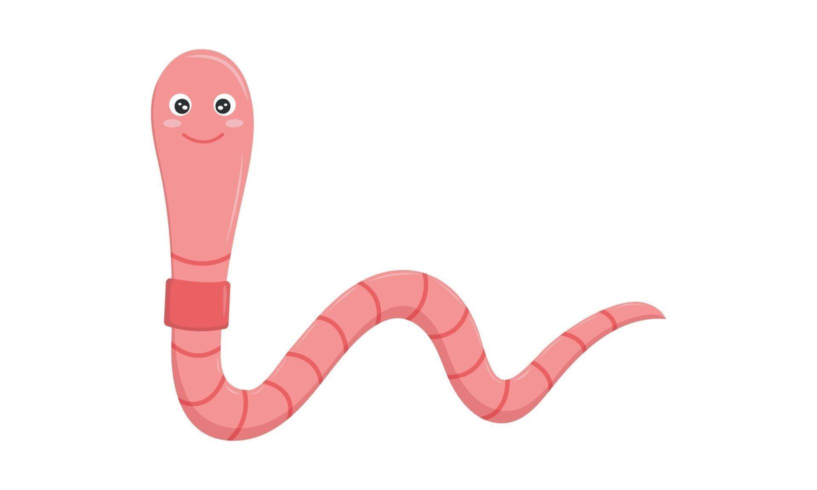 Cute worm character isolated on white background. Earthworm with smiling face in childish style vector