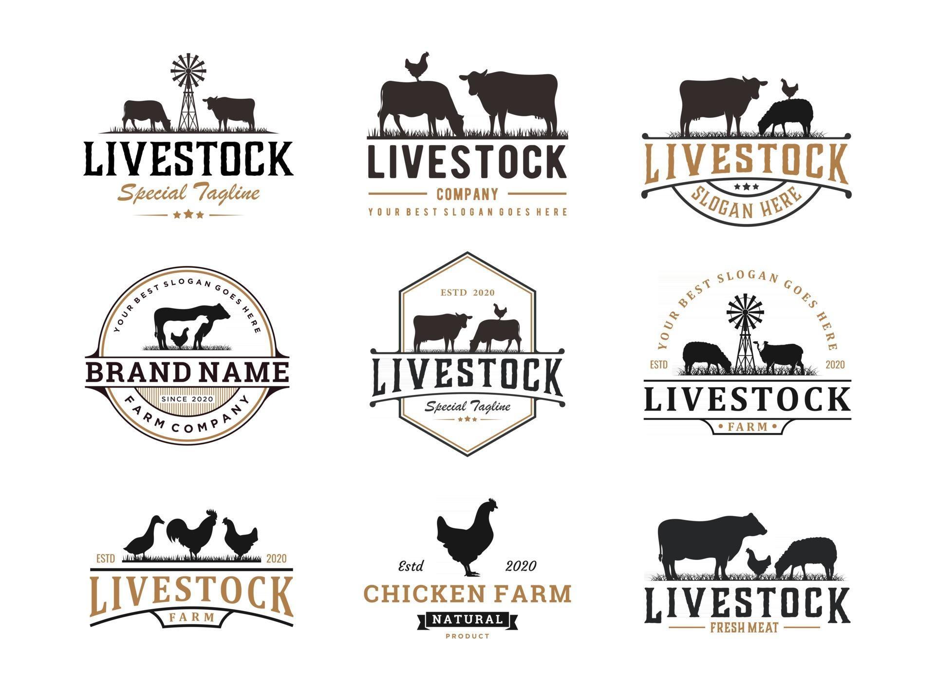 set of vintage livestock logo design, vector concept illustration ...