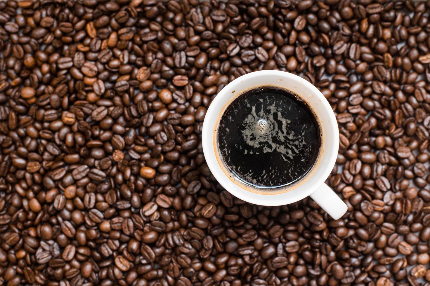 Mixture of different kinds of coffee beans. Coffee Background photo