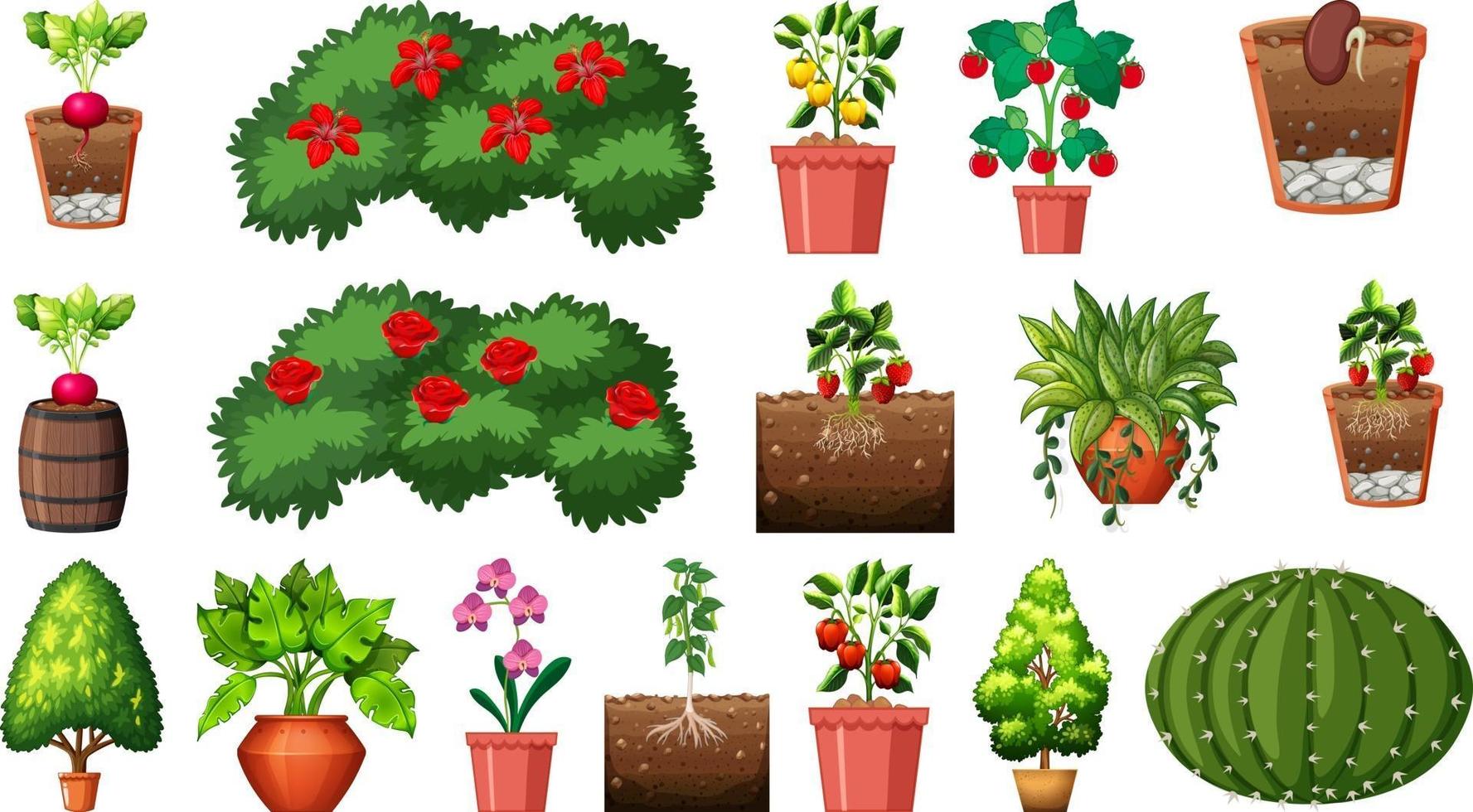 Set of different plants in pots isolated on white background vector