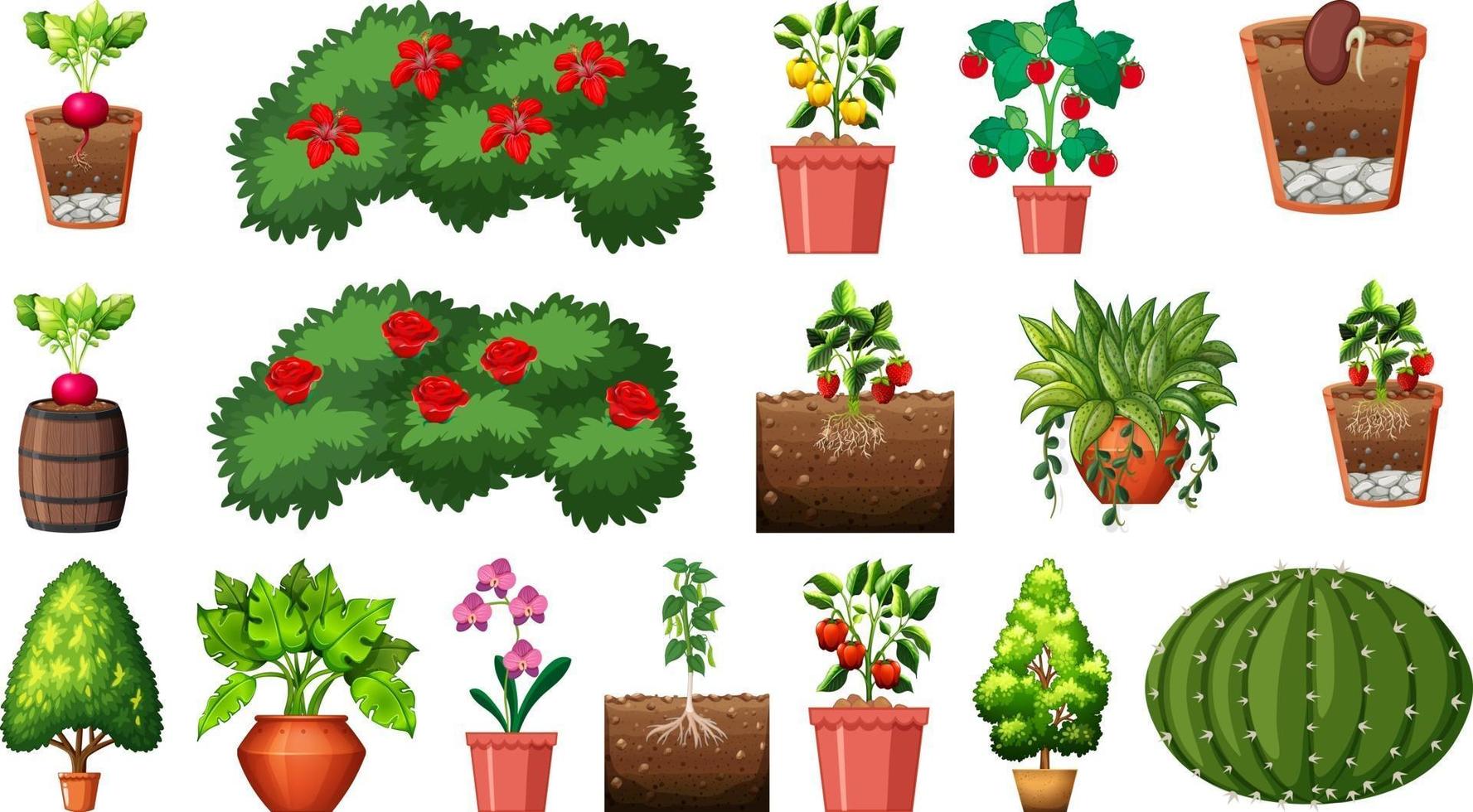 Conjunto de diferentes plantas en macetas aislado sobre fondo blanco. vector