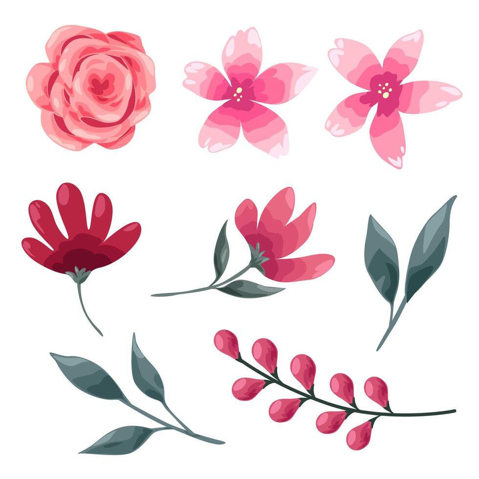 gran conjunto de elementos de acuarela - rosa, hojas, uvas. colección de elementos vectoriales. ilustración aislada sobre fondo blanco. botánico. vector