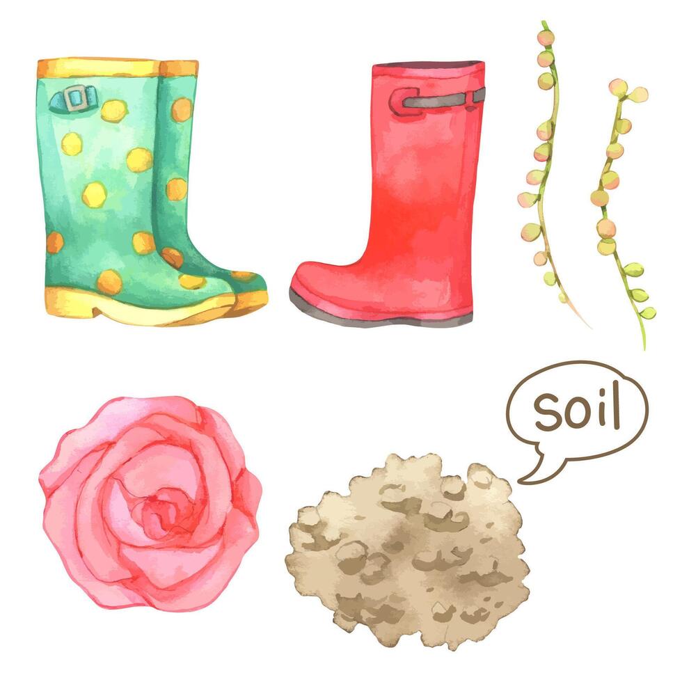 Big Set watercolor elements - boot, soil, flower. collection of vector elements. illustration isolated on white background. Botanic.