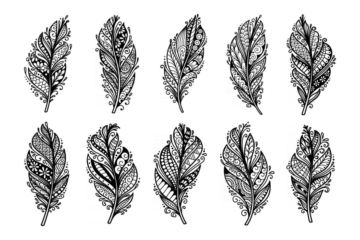 Set of peerless decorative feather illustration vector