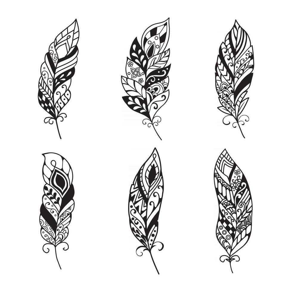 Set of peerless decorative feather illustration vector