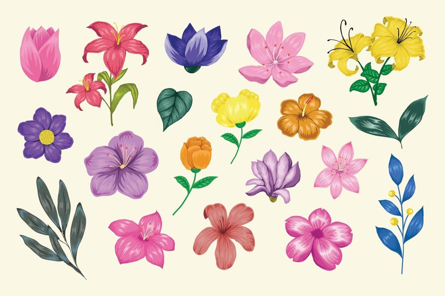 Beautiful vintage hand drawn floral vector collection