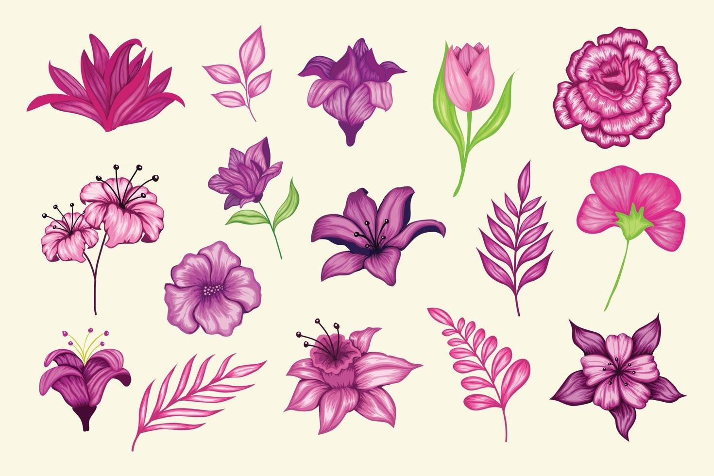 Beautiful vintage hand drawn floral vector collection