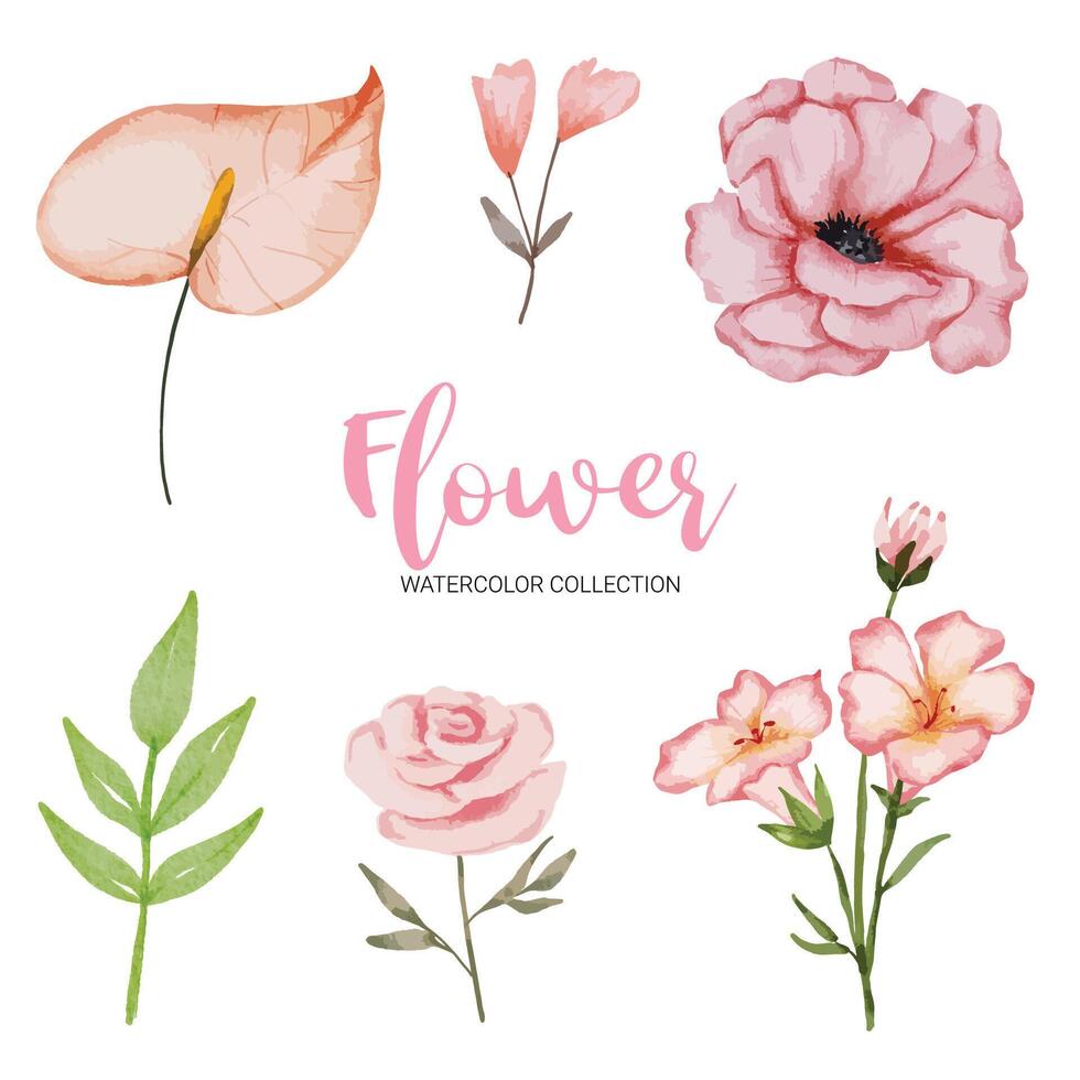 Hermoso ramo de flores en estilo acuarelas vector