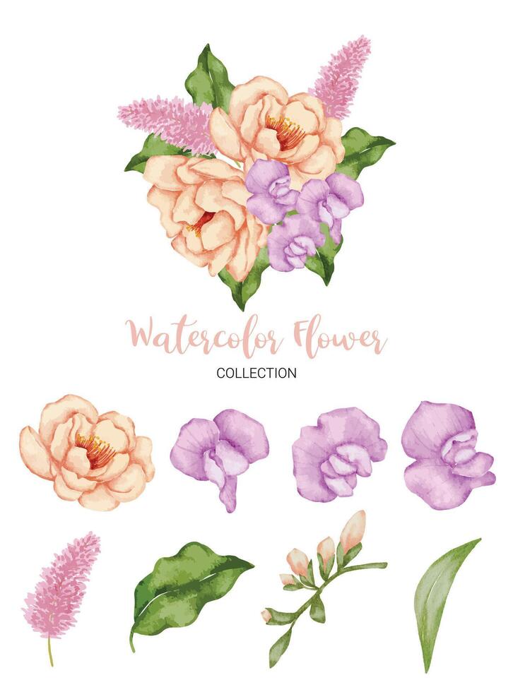 Beautiful bouquet of flowers in water colors style vector