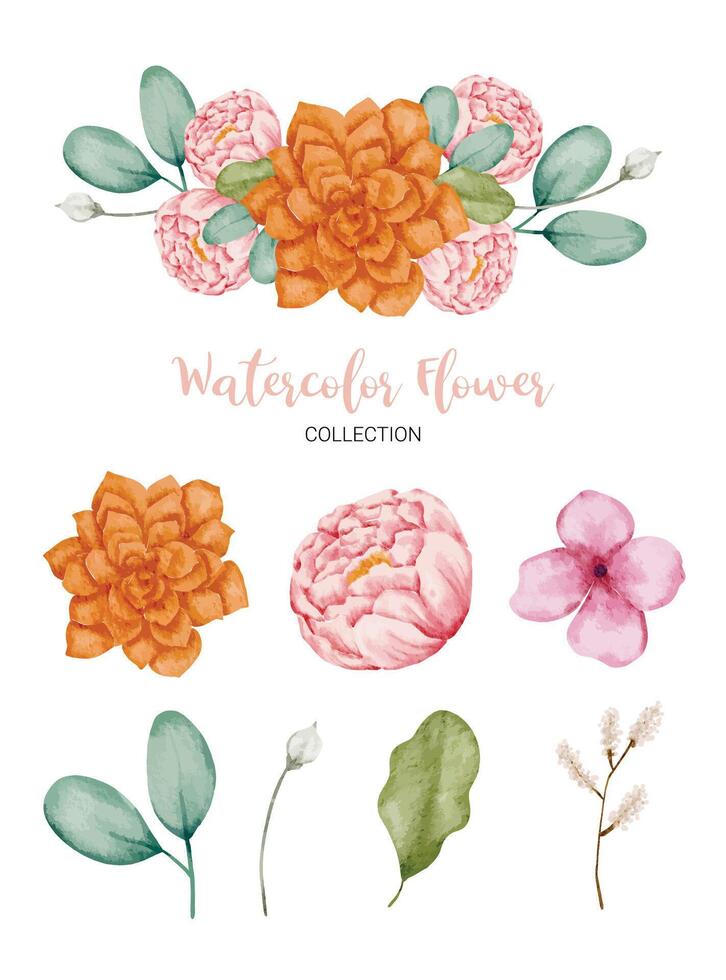 Beautiful bouquet of flowers in water colors style vector