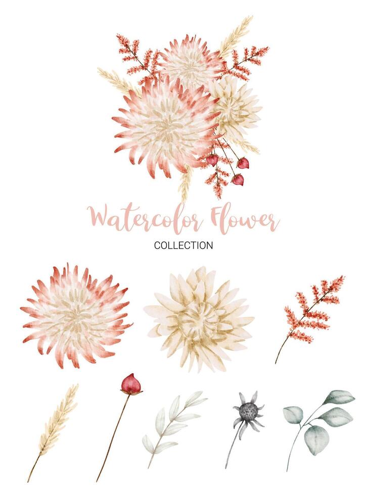 Beautiful bouquet of flowers in water colors style vector