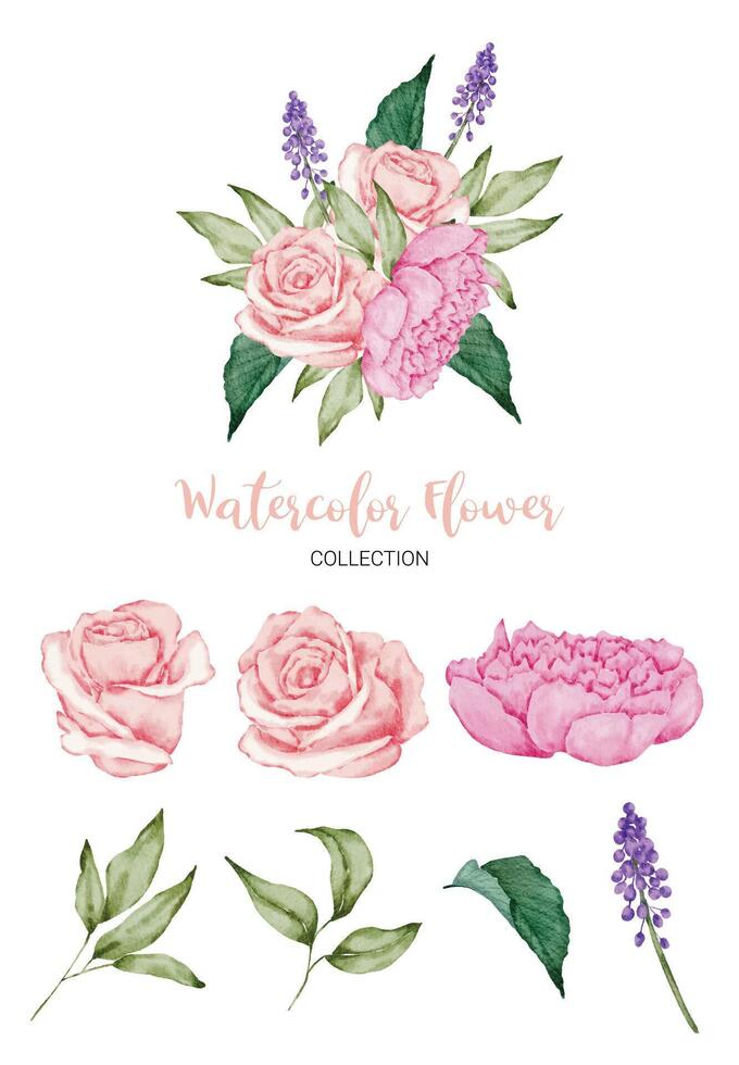 Beautiful bouquet of flowers in water colors style vector