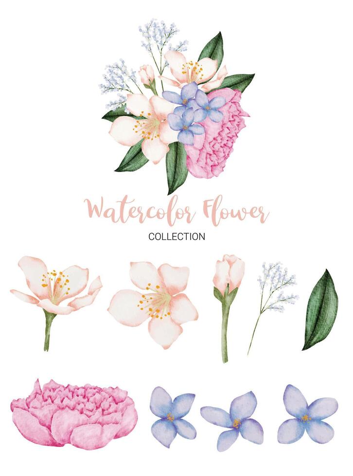 Beautiful bouquet of flowers in water colors style vector