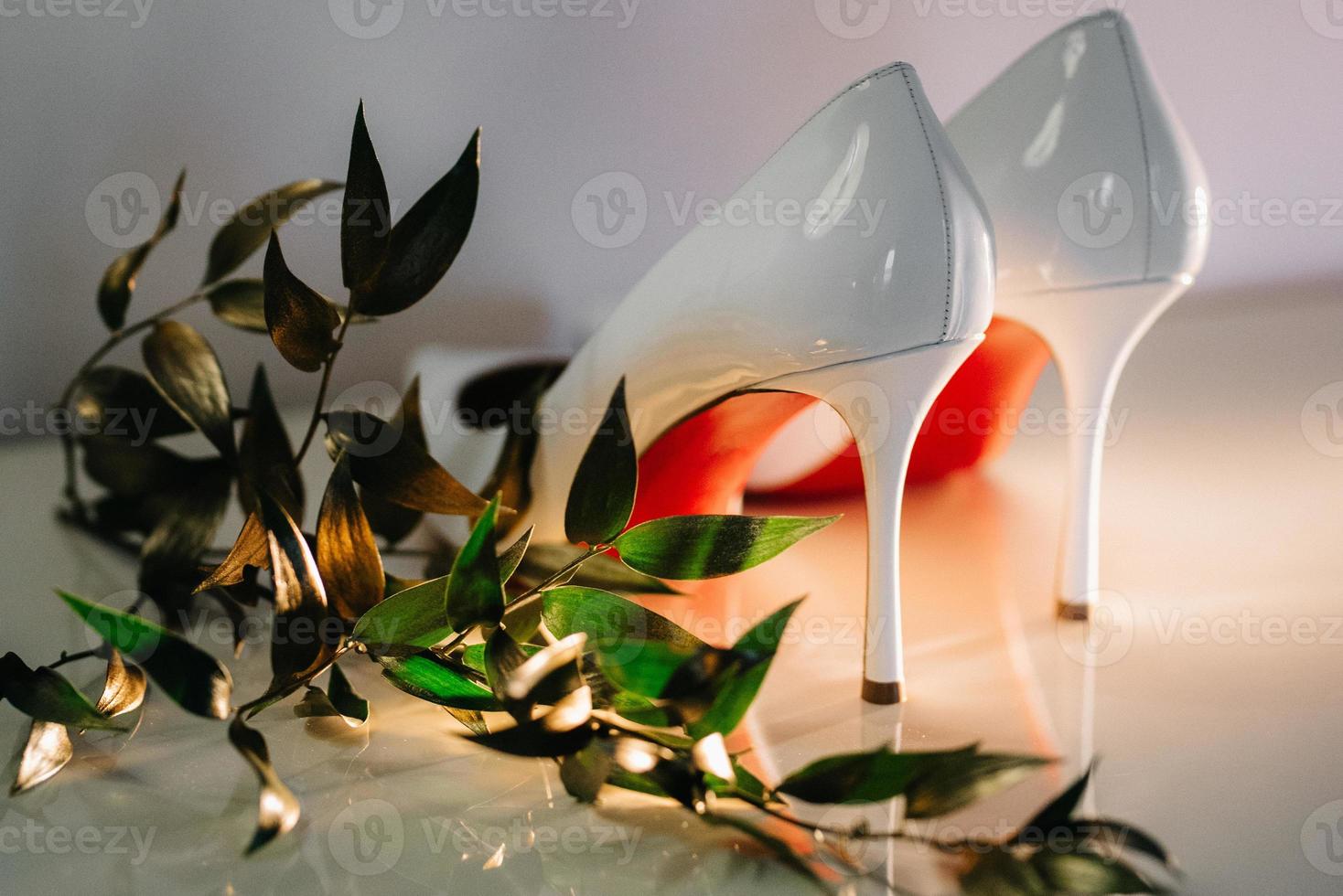 wedding shoes of the bride, beautiful fashion photo