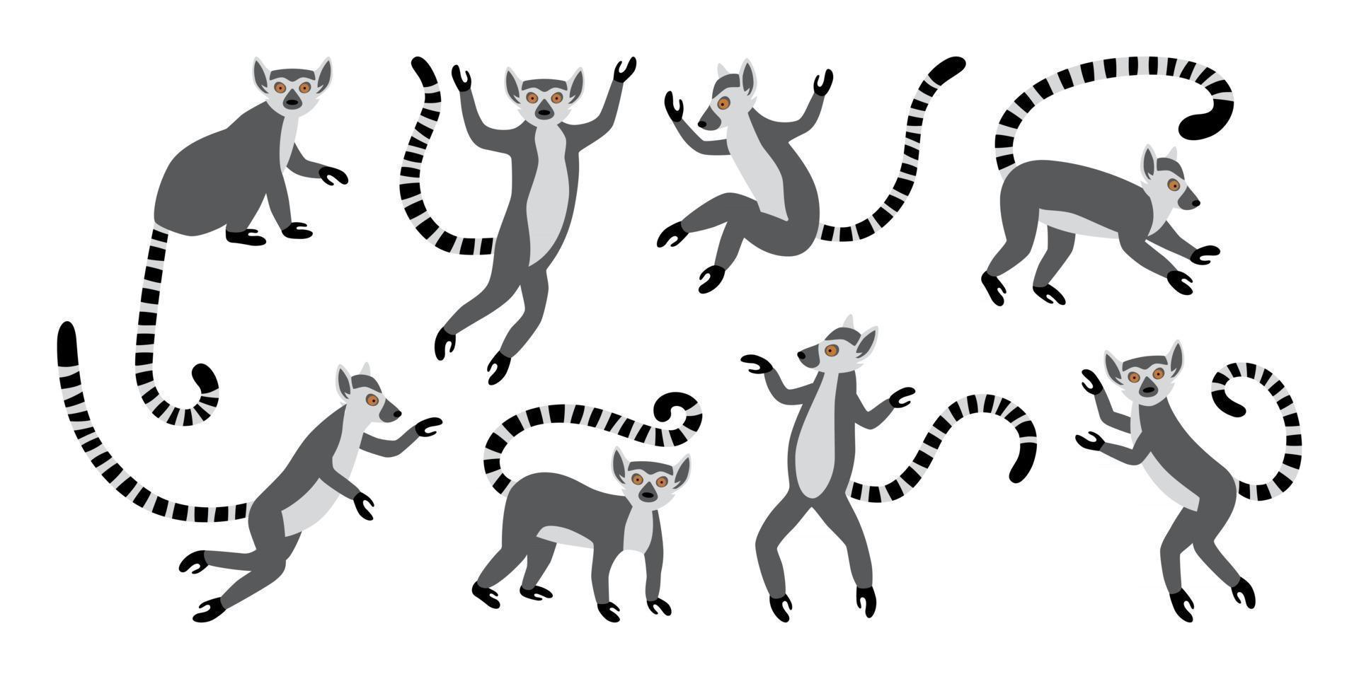 Cute funny ring-tailed lemurs. Exotic Lemur catta. Set of vector illustrations in cartoon and flat style isolated on white background