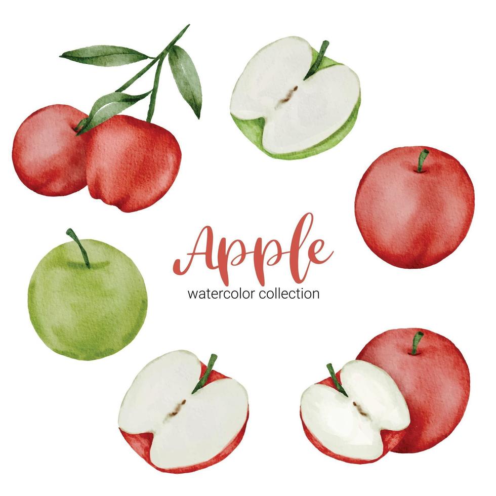 manzana en fruta acuarela colección vector plano sobre fondo blanco