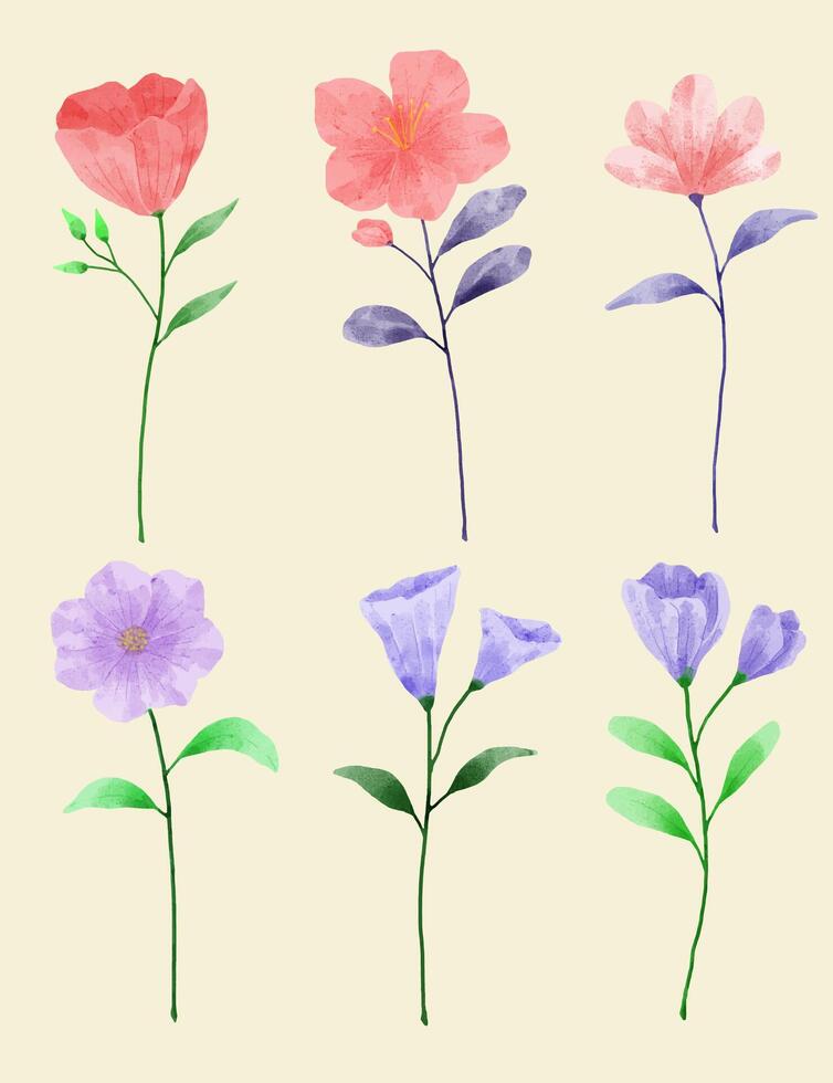 A set of flowers painted in watercolor for various cards and greeting cards. vector