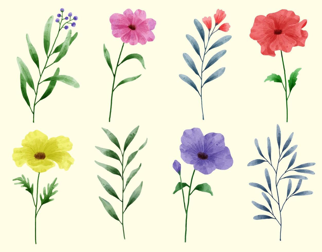A set of flowers painted in watercolor for various cards and greeting cards. vector