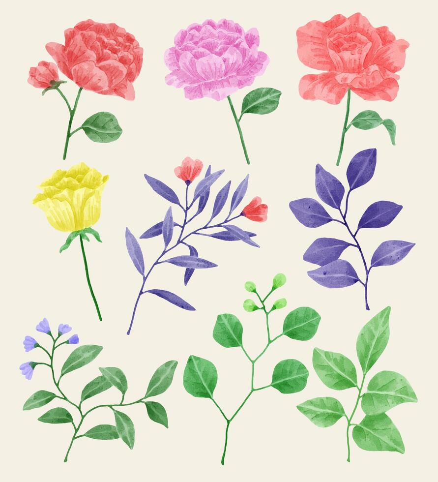 un conjunto de flores pintadas en acuarela para varias tarjetas y tarjetas de felicitación. vector