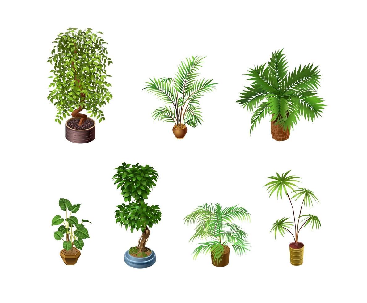 Indoor plants on a light background for interior design in isometric. Vector illustration