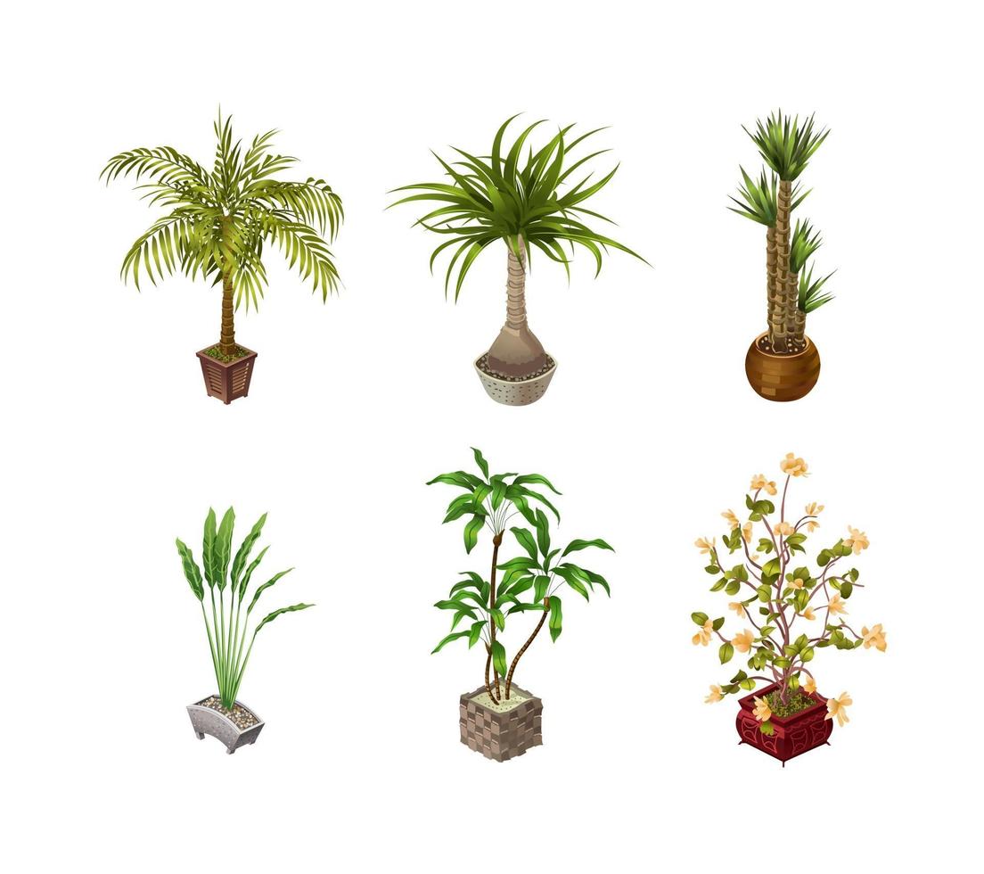 Plantas de interior y flores sobre un fondo claro para diseño de interiores en isométrico. ilustración vectorial vector