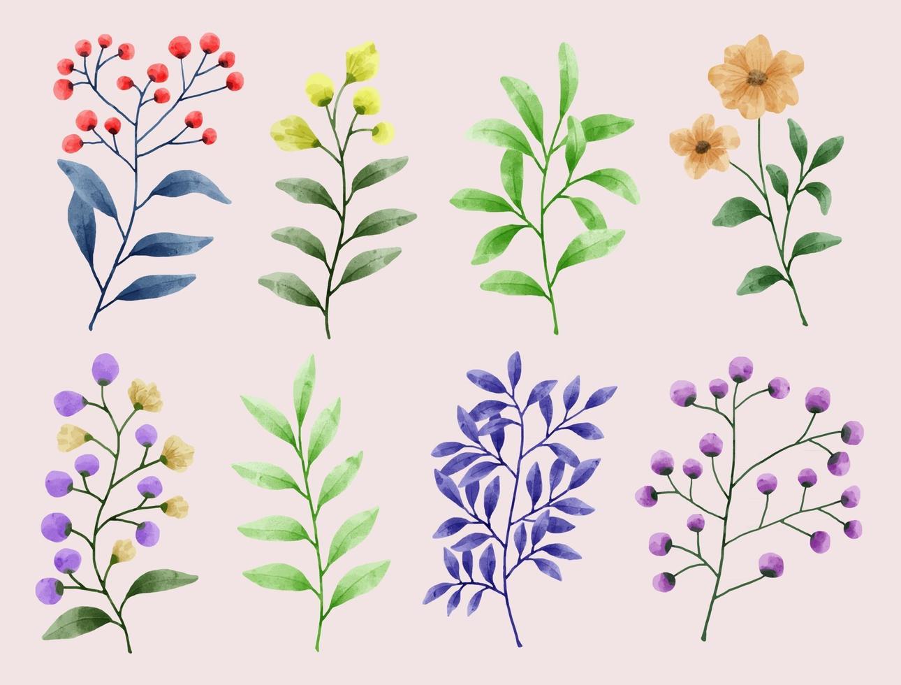 A set of flowers painted in watercolor for various cards and greeting cards. vector
