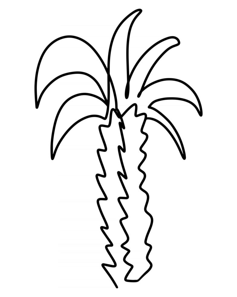 Palm tree line art vector illustration