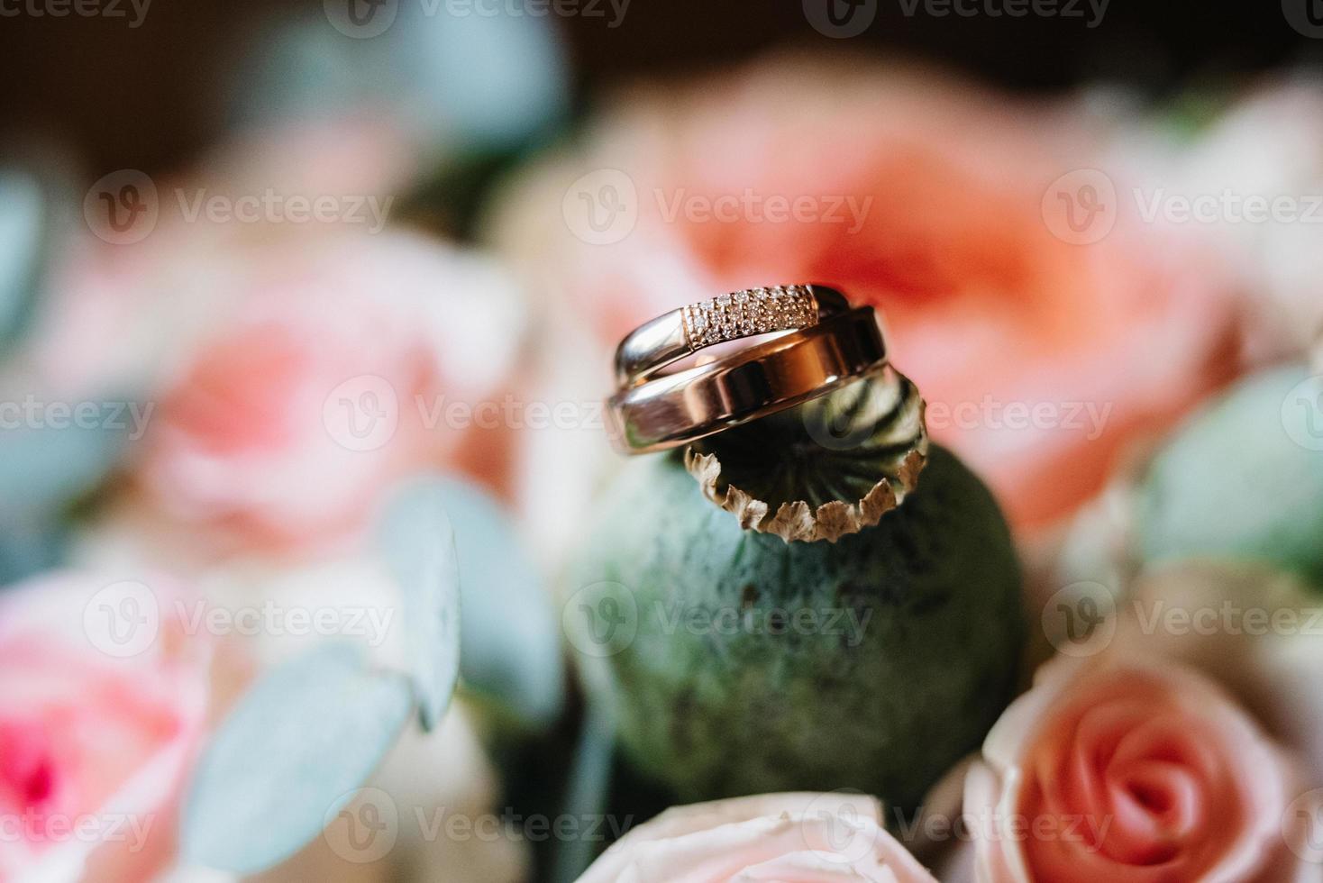 anillos de boda de oro foto