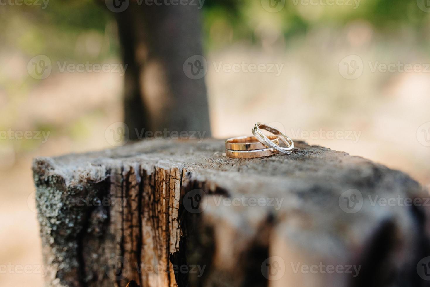 anillos de boda de oro foto