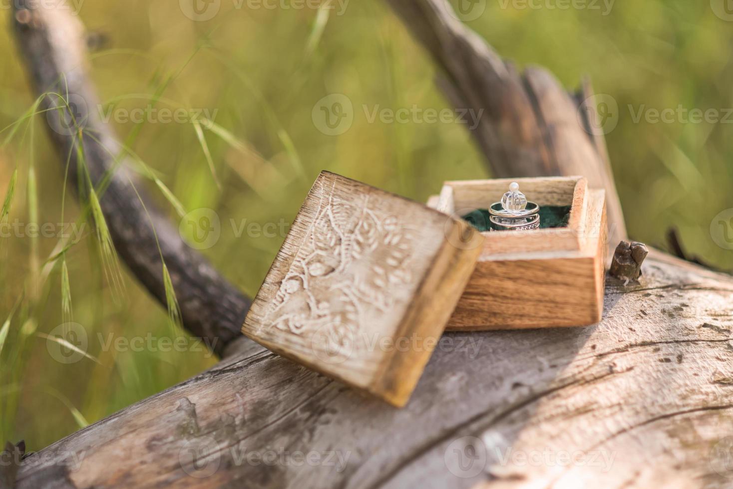 anillos de boda de oro foto