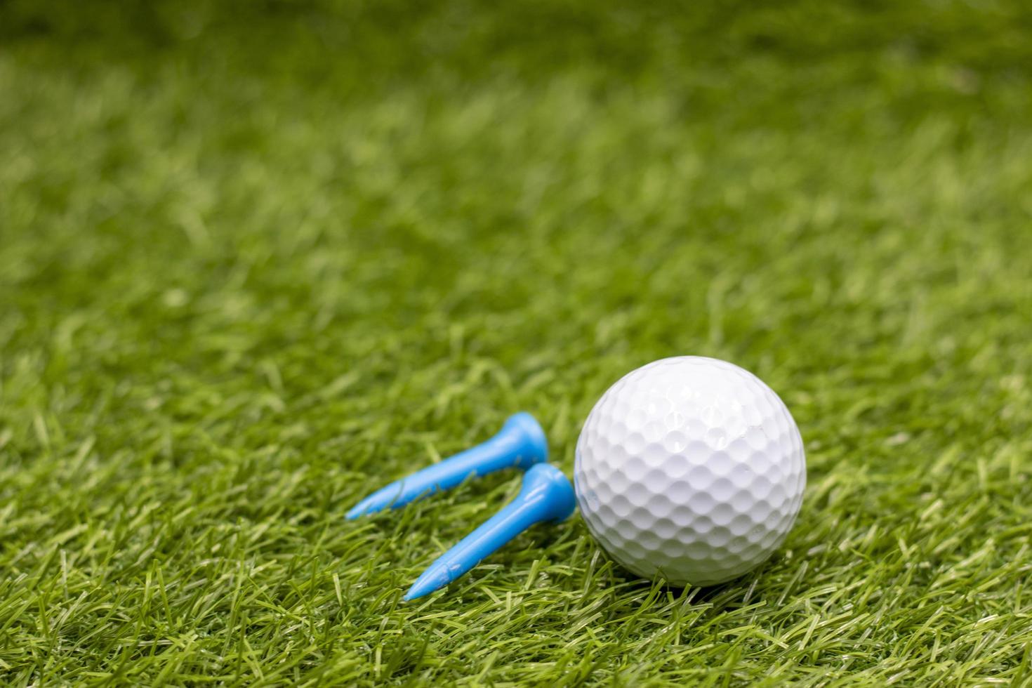 Golf ball with tee are on green grass photo