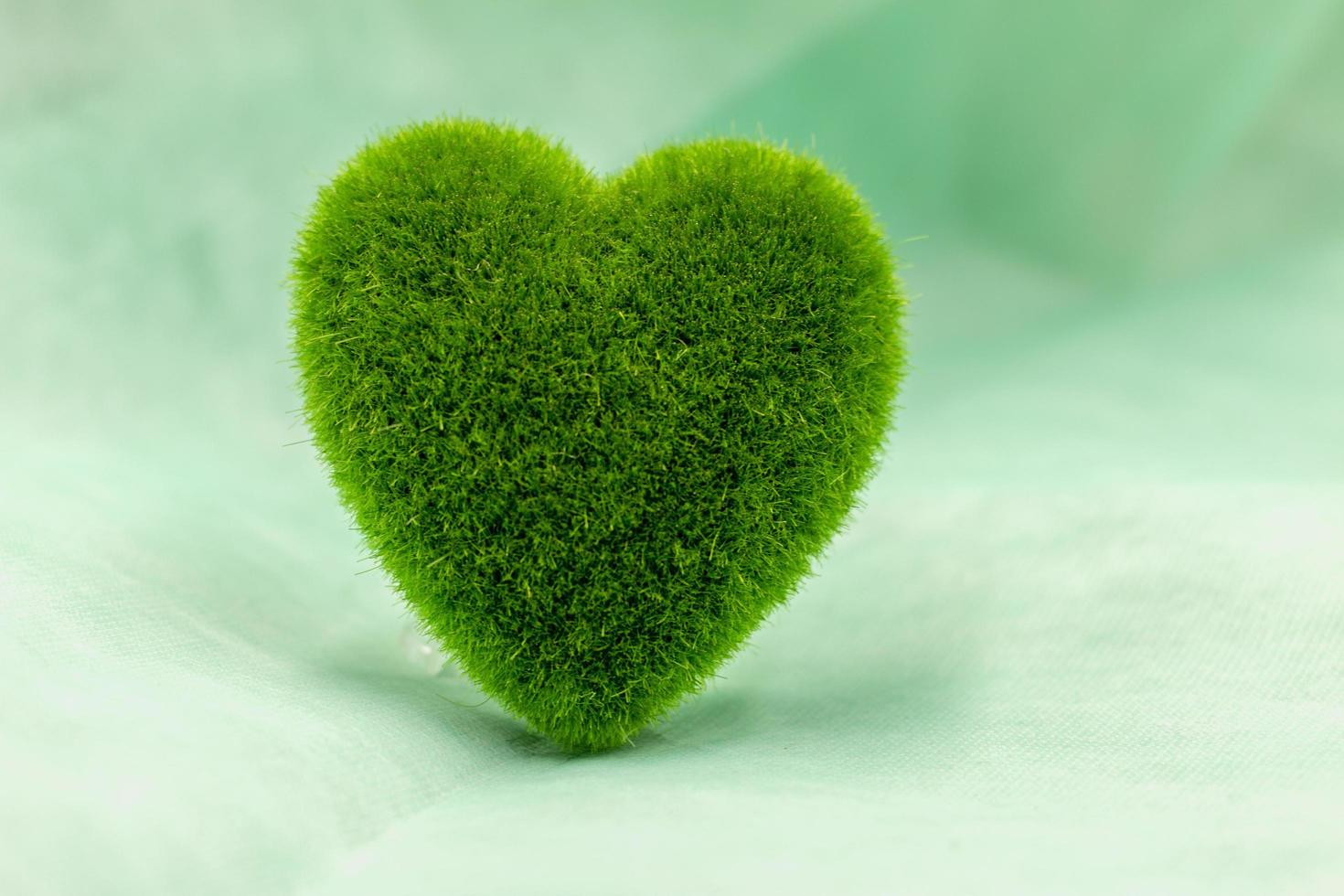 Green grass heart shape is on green background photo