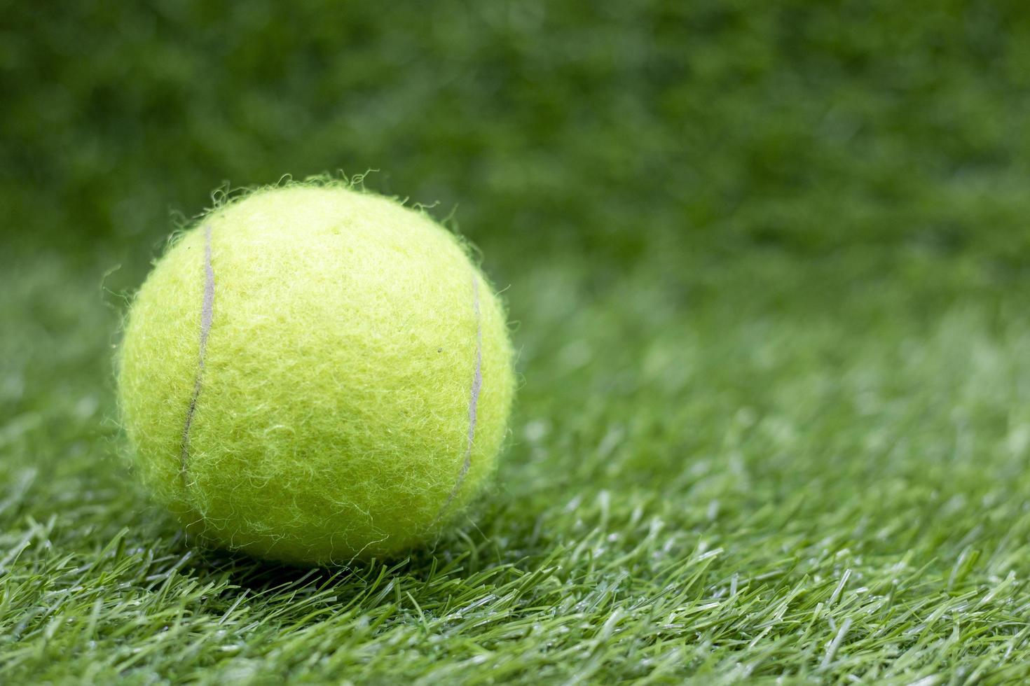 Tennis ball is on green grass photo