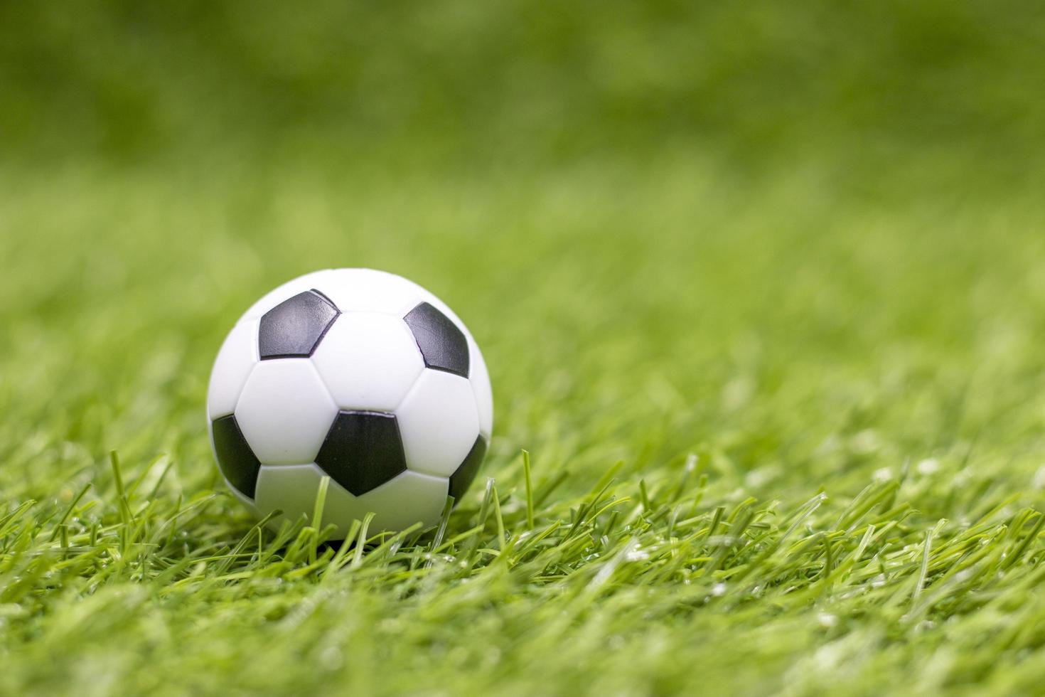 Soccer ball on green grass background photo