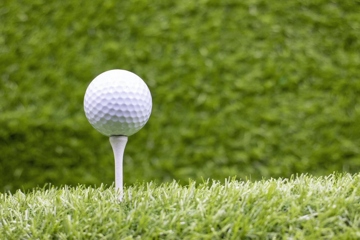 Golf ball with tee are on green grass photo