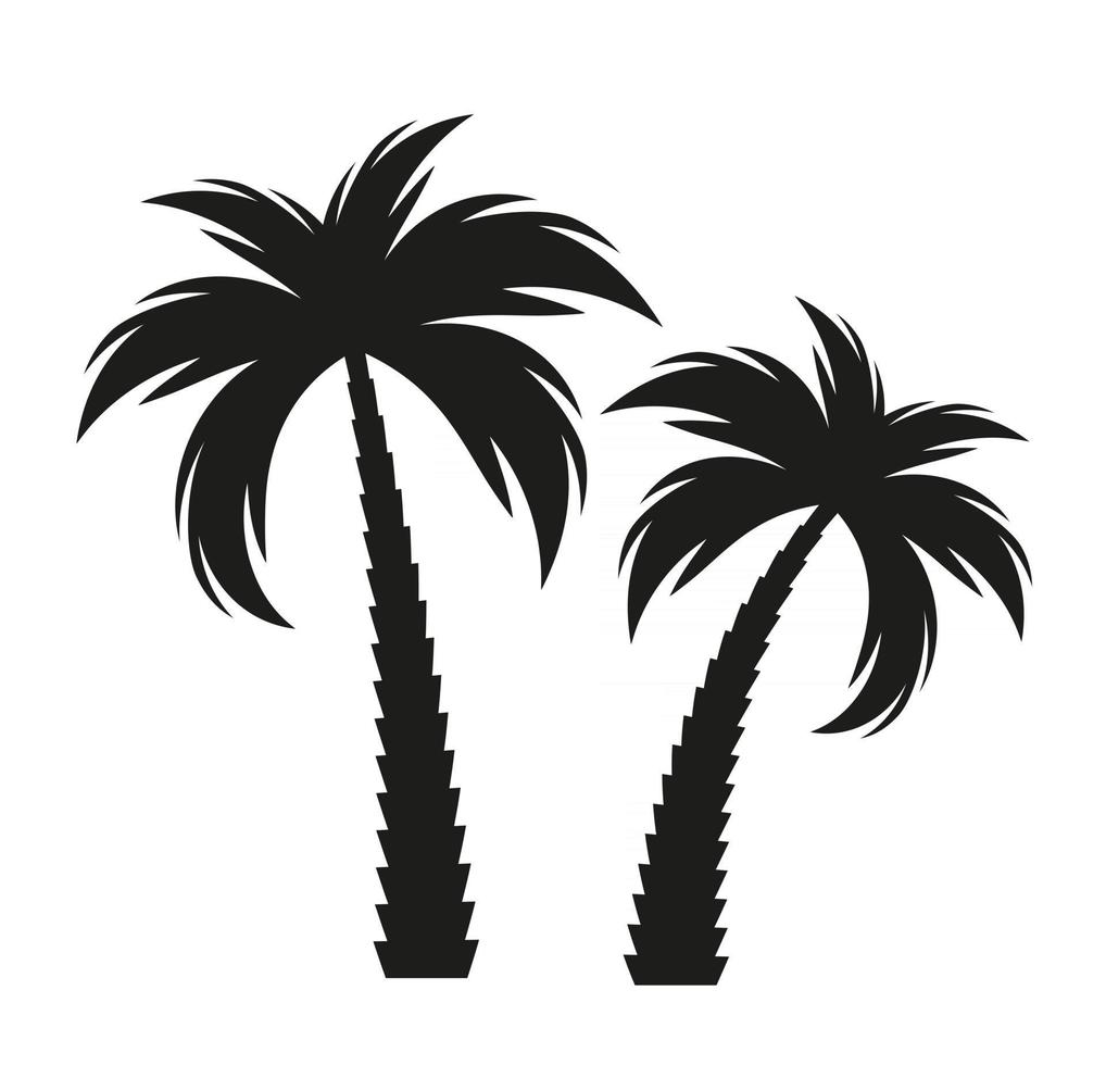 Black  palm tree silhouette. Vector Illustration