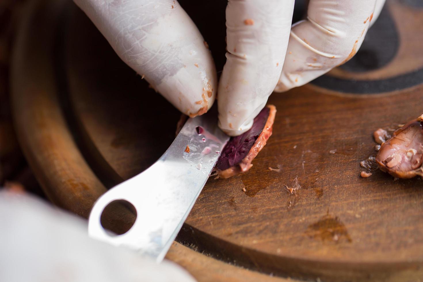 Elegir granos de cacao crudos con la mano del hombre. foto