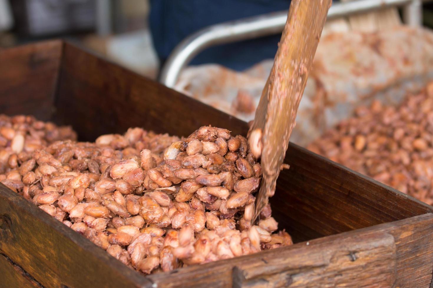 cacao en grano fermentado y fresco en la caja de madera foto