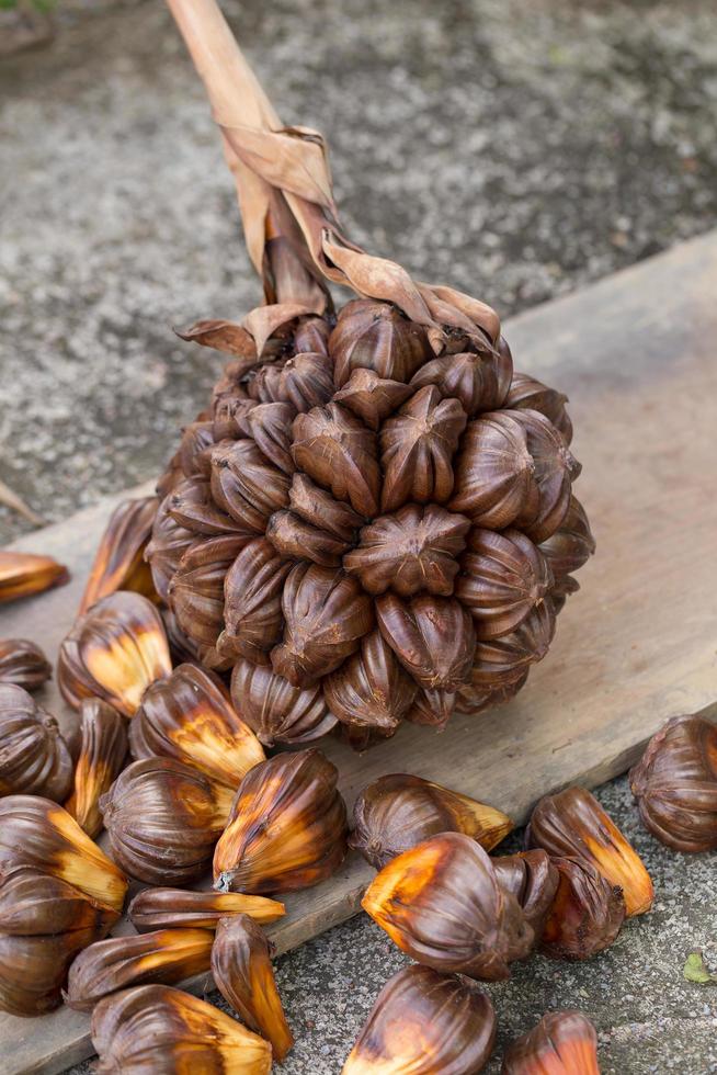 Nypa palm fruit en Tailandia, cerca de la semilla de nypa en la naturaleza foto