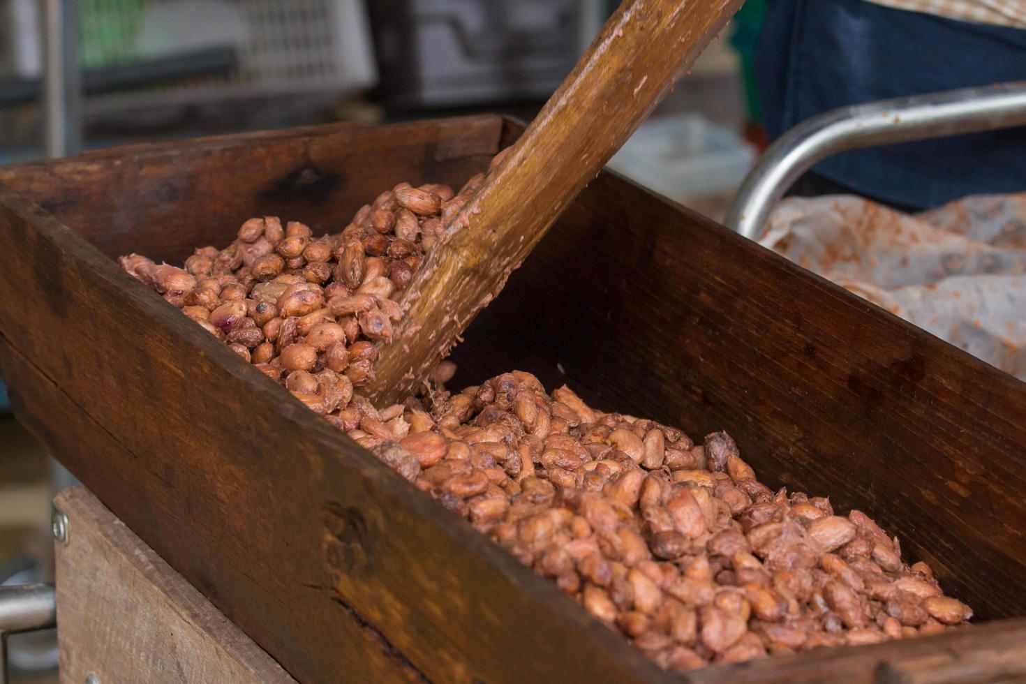 cacao en grano fermentado y fresco en la caja de madera foto