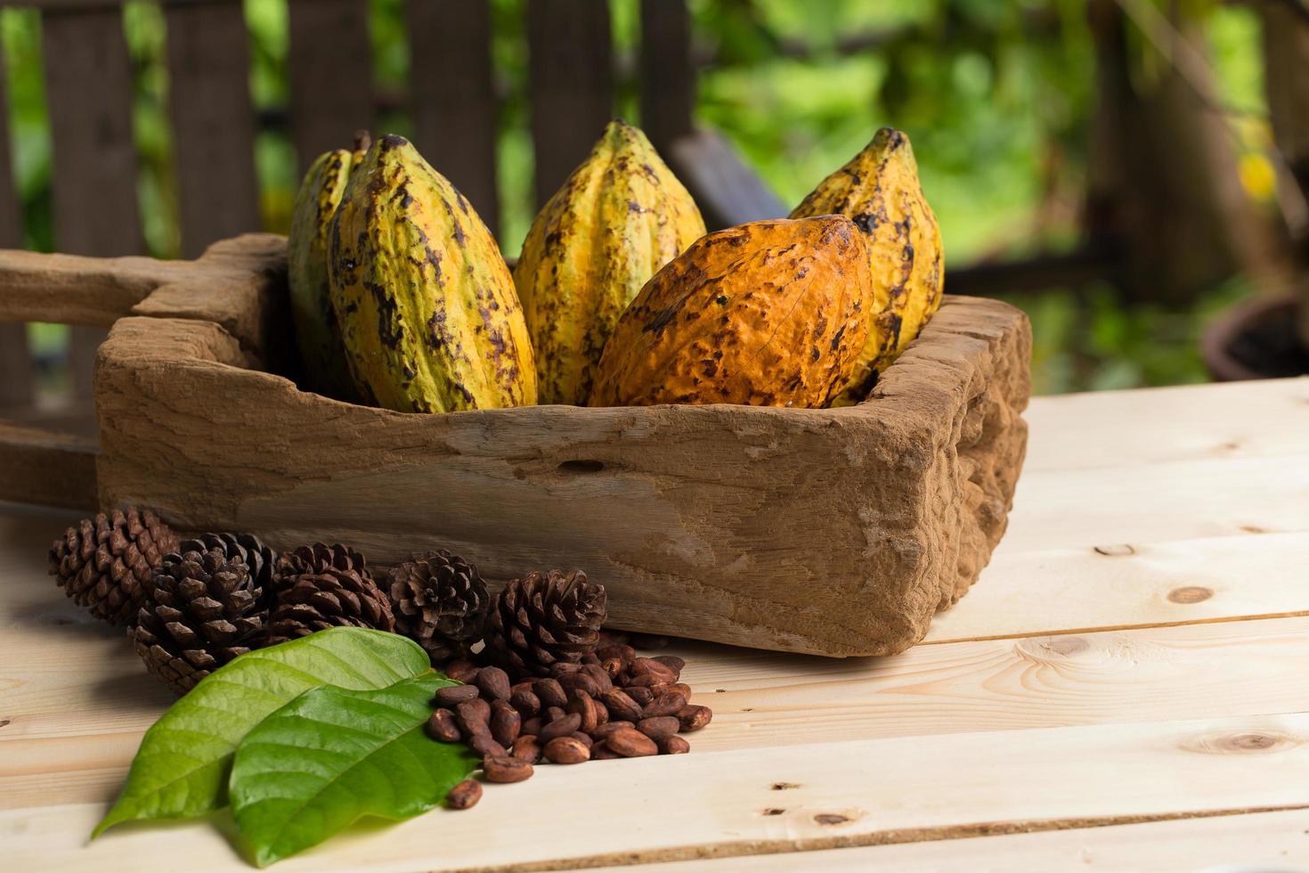Fruta de cacao, granos de cacao crudos, mazorcas de cacao sobre fondo de madera foto