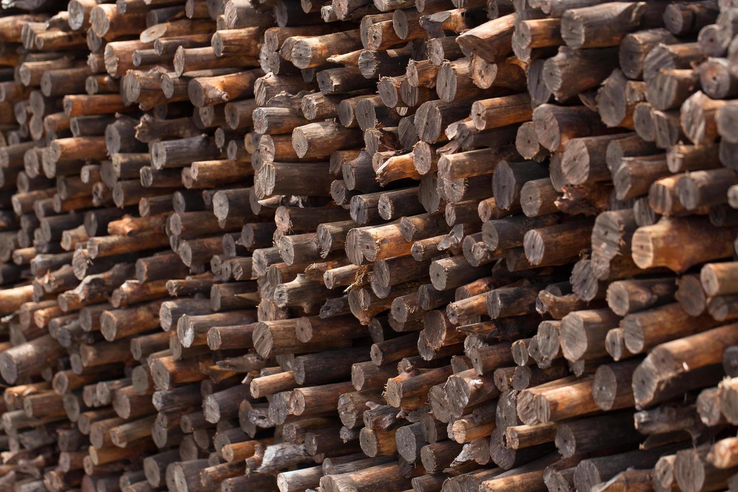 leña apilada y preparada para el invierno pila de troncos de madera foto