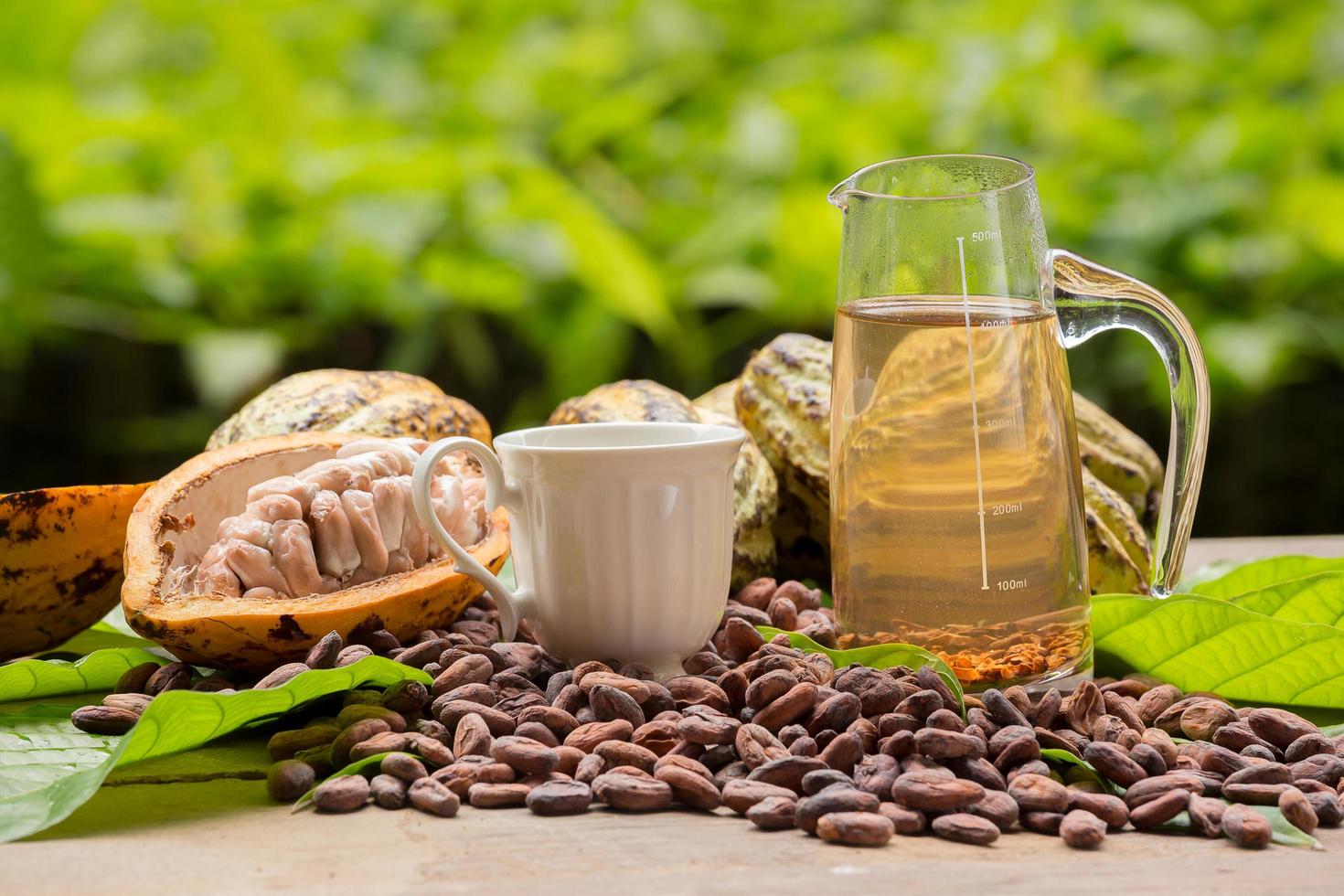 Raw Cocoa beans and cocoa pod on a wooden surface photo