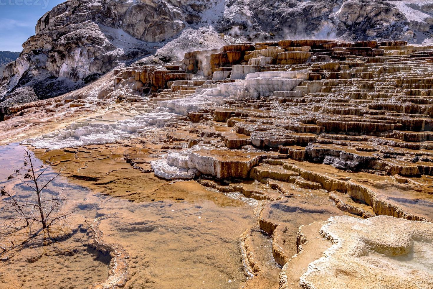 beautiful scenery at mammoth hot spring in yellowstone photo