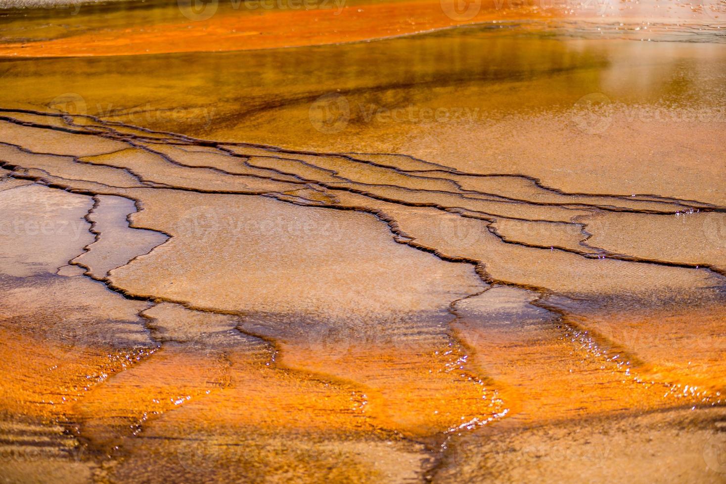 Grand Prismatic Spring in Yellowstone National Park photo