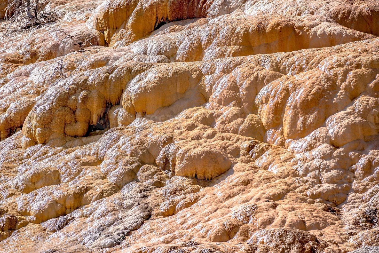 terrazas de travertino, gigantescas aguas termales, Yellowstone foto