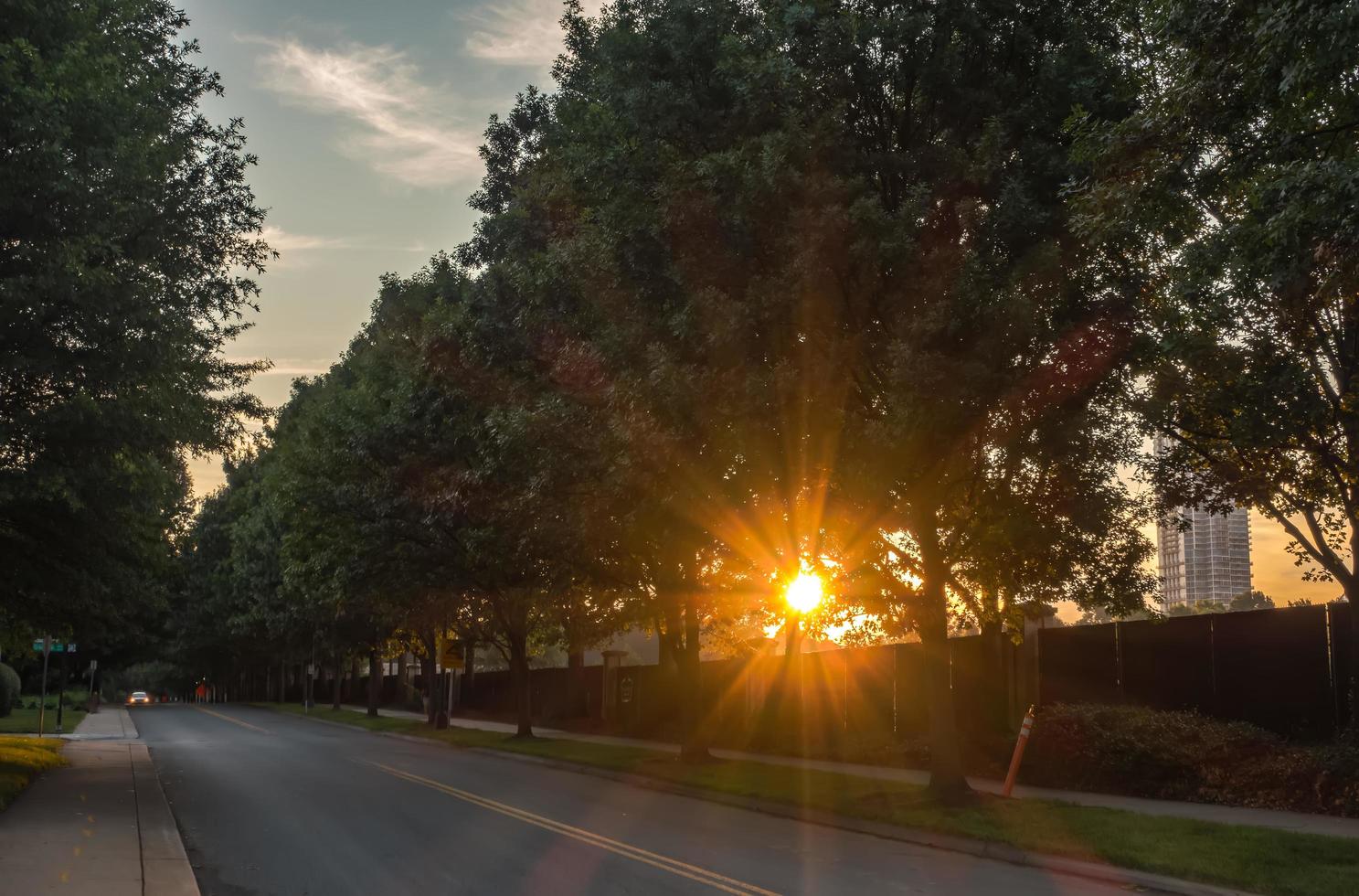 sun peeking through treeline on city street photo