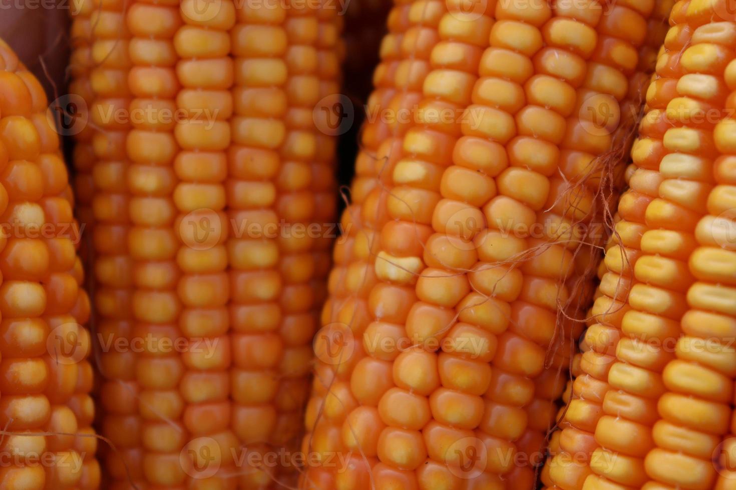 ripe maize stock on shop photo